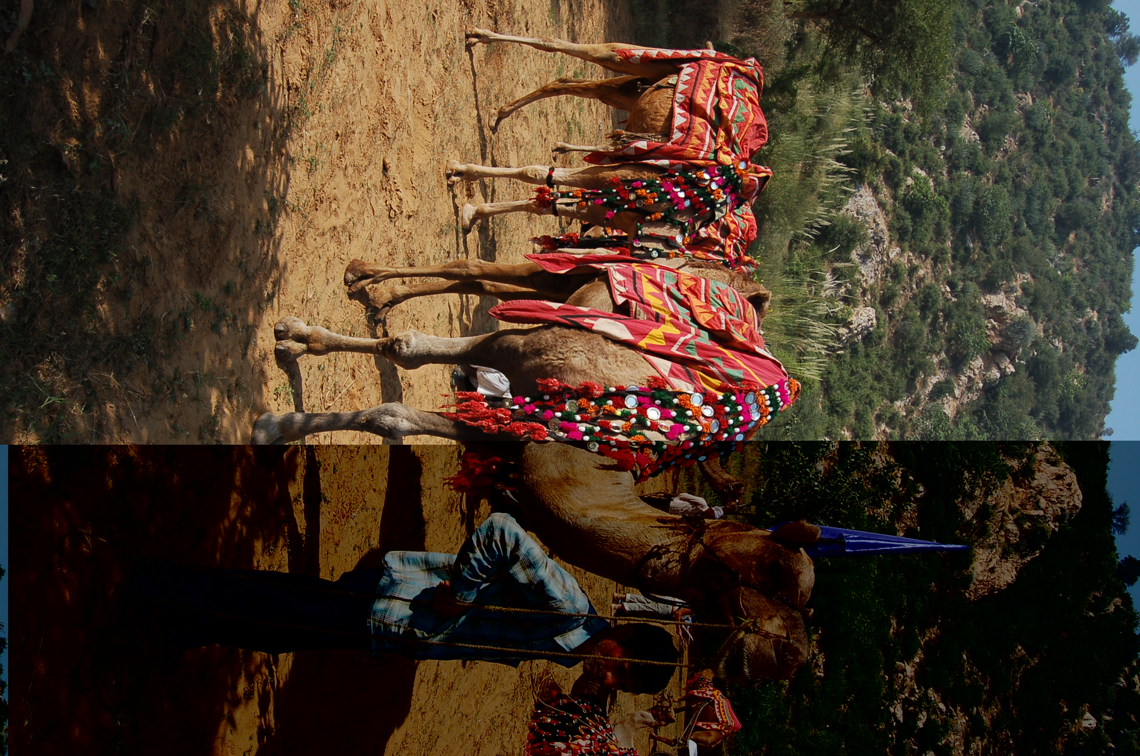 Image from Farm Lunch - Samode